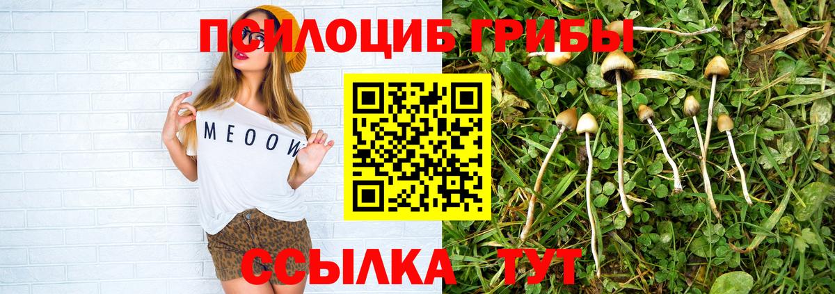 Галлюциногенные грибы мицелий  Псилоцибиновые грибы Cubensis  Вход с VPN  Урус-Мартан 