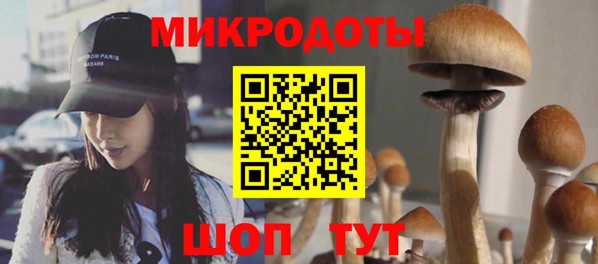 Галлюциногенные грибы мицелий Урус-Мартан